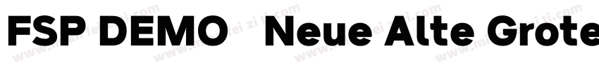 FSP DEMO   Neue Alte Grotesk字体转换